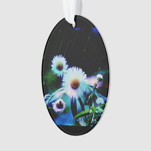 Asters Aglow Oval Ornament (Vorderseite)