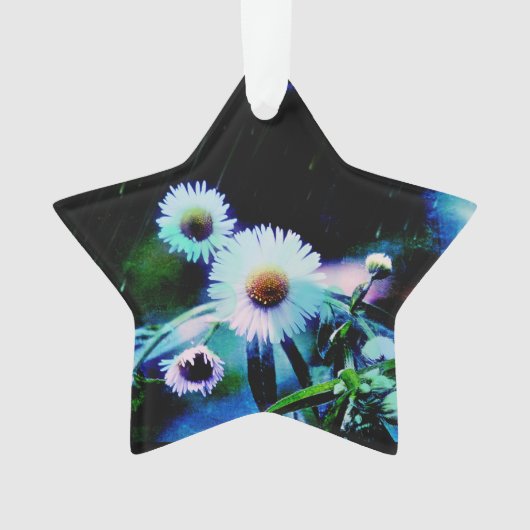 Asters Aglow Star Ornament (Vorderseite)