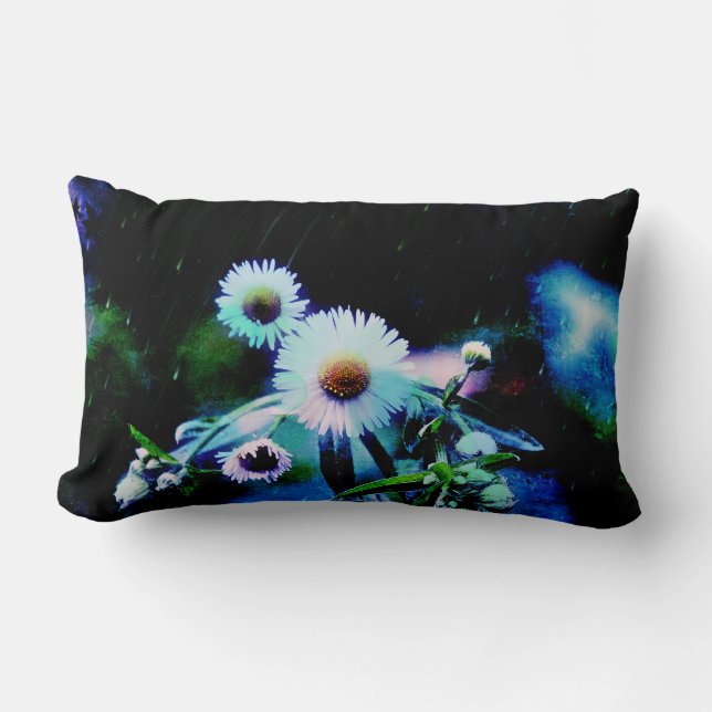 Asters Aglow Throw Kissen (Vorderseite)