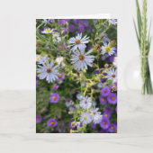 Asters Karte (Vorderseite)