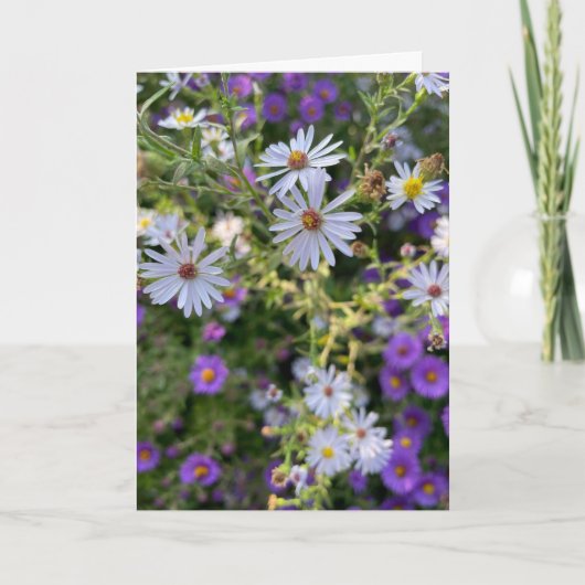 Asters Karte (Vorderseite)