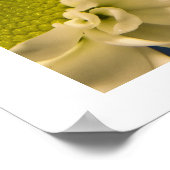 Asters Poster (Ecke)