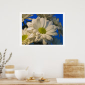Asters Poster (Küche)