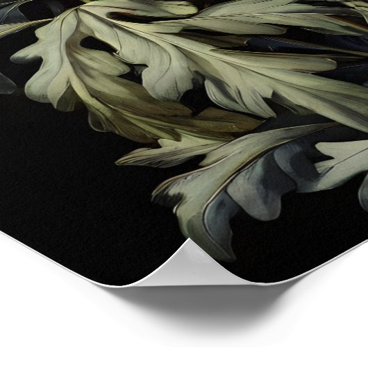 Asters Wildblume Symphony Poster (Ecke)