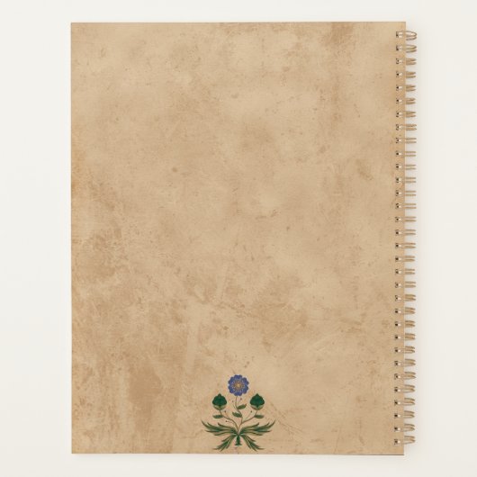 ästhetisch planer (Rückseite)