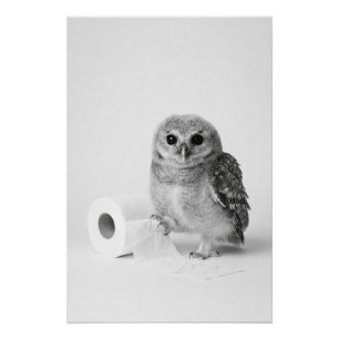 Ästhetischer minimalistischer Babykauz mit Toilett Poster