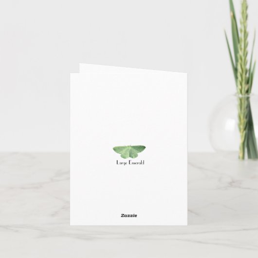 Ästhetischer Vintager Stil Große Smaragdmoth Karte (Rückseite)