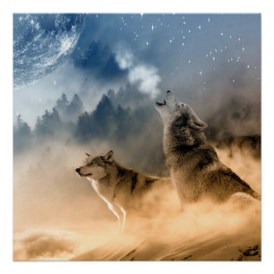 Ästhetischer Wolf heulen, wild leben Poster