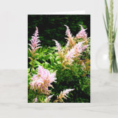 Astilbe Dankeskarte (Vorderseite)