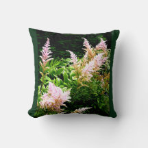 Astilbe