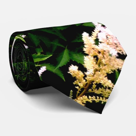 Astilbe Krawatte (Gerollt)