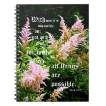 Astilbe mit Mark 10:27