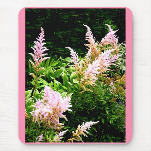 Astilbe Mousepad (Vorne)
