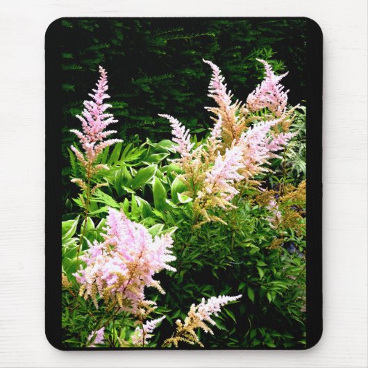 Astilbe Mousepad (Vorne)