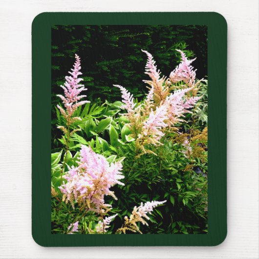 Astilbe Mousepad (Vorne)