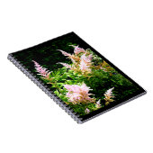 Astilbe Notizblock (Rechte Seite)