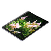 Astilbe Notizblock (Linke Seite)