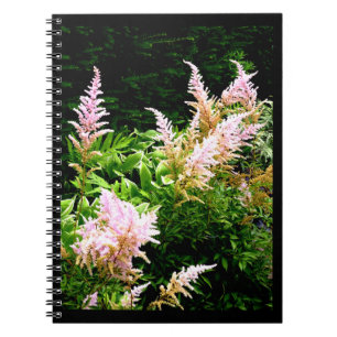 Astilbe Notizblock