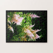 Astilbe Puzzle (Horizontal)