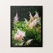 Astilbe Puzzle (Vertikal)