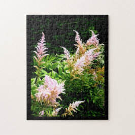 Astilbe Puzzle