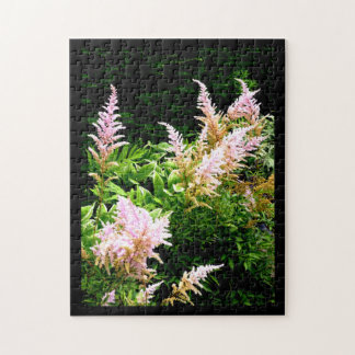 Astilbe Puzzle
