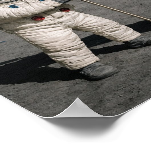 "Asto-Dogs" Poster (Ecke)