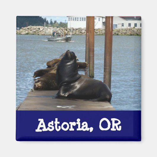 Astoria Oregon Sealions Magnet (Vorne)