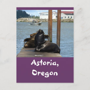 Astoria Oregon Sealions Postkarte