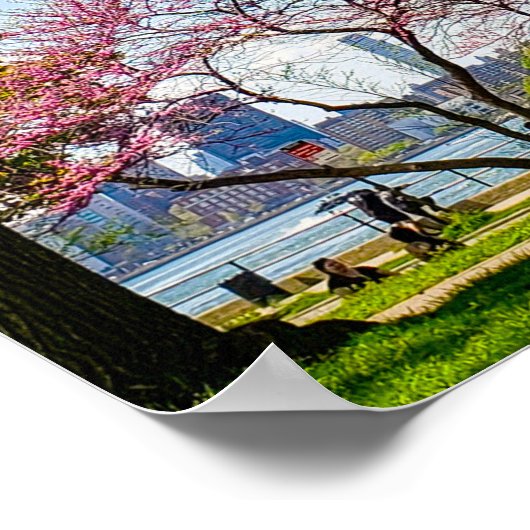Astoria Park Foto Poster (Ecke)
