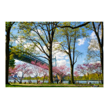 Astoria Park Foto