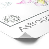 Astragalus Pink Blume Medizinische Kräuterpflanze  Poster (Ecke)