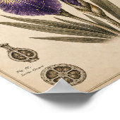 Astral Iris Victorian Botanical Museum Druck Poster (Ecke)