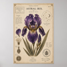 Astral Iris Victorian Botanical Museum Druck Poster