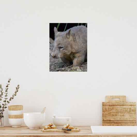 Astralian Wombat Poster (Küche)
