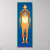 Astralistin Poster (Vorne)