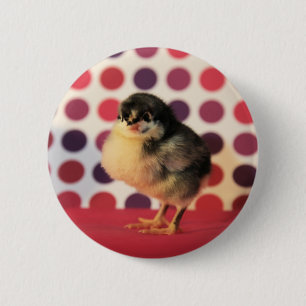 Astralorp Chick Button