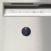 Astralpirat im Amethystlicht Magnet (In Situ (Geschirrspüler))