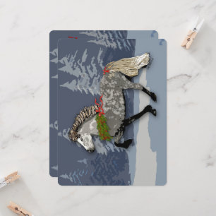 Astrid for the Holidays Schönes Islandpferd