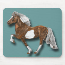 Astrid Icelandic Horse gaiting