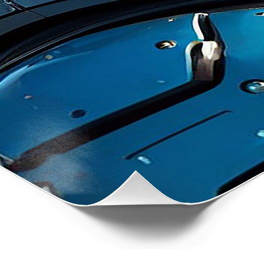 Astro Fox Poster (Ecke)