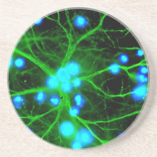 Astrocyte sind sternförmige Glial Zellen im Gehir Untersetzer