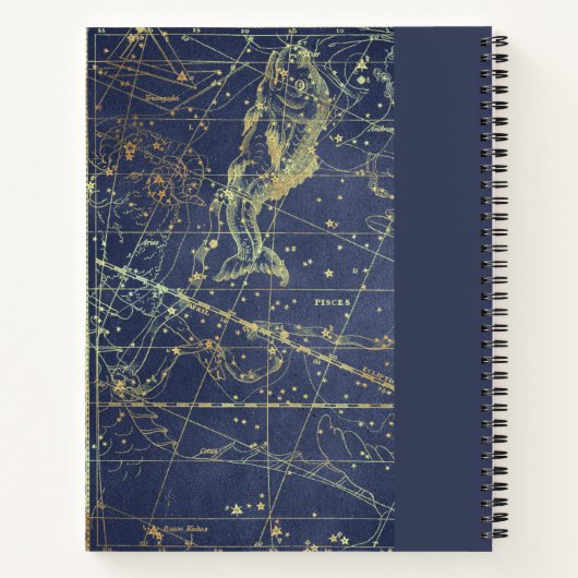 Astrologie Fisces Horoskop Sketchbook mit Namen Notizblock (Rückseite)