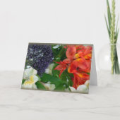 Astromeria #4 karte (Vorderseite)