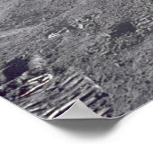 Astronaut David Scott Salutes Flag Poster (Ecke)