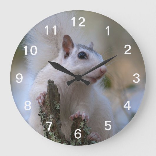 Astronaut Squirrel Große Wanduhr (Vorderseite)