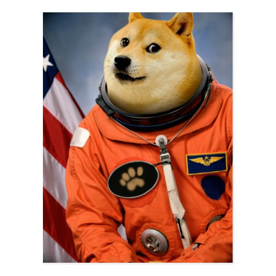 Astronautenhund Doge Shibe Doge Memes Postkarte Zazzle De