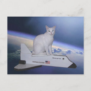 Astronautenkatze (Spirit) auf Raumfähre Postkarte