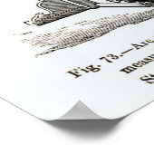 Astronomische Instrumente Poster (Ecke)