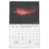 AstronoMolly's Kalender 2023 (Mär 2027)